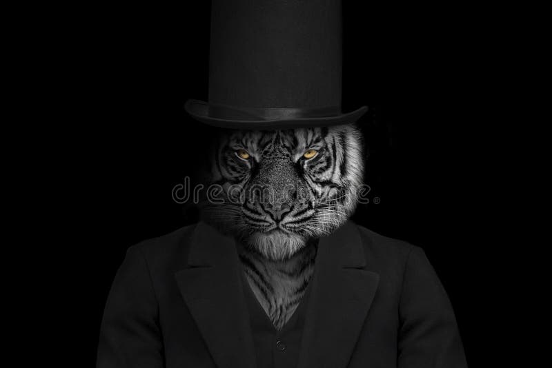 Man in the Form of a Tiger , the Lion Person , Animal Face Isolated Black White Stock Photo - Image of head, elderly: 239551954 Man in the Form of a Tiger , the Lion Person , Animal Face Isolated Black White Stock Photo - Image of head, elderly: 239551954