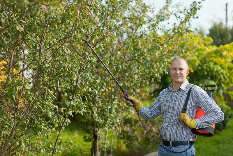 Working man with garden spray in orchard