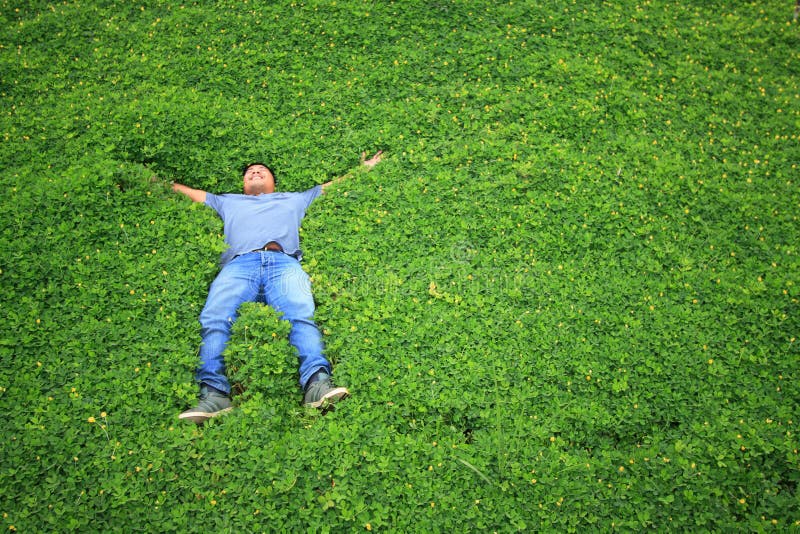 Man on the Grass or People Sleep in the Garden. Stock Image - Image of  portrait, woman: 43081799