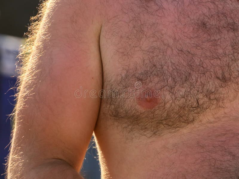 A Man with a Hairy Chest and Stomach As Background Stock Photo - Image of  hairy, white: 139824360