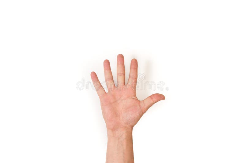 Image Of Male Hand Showing Five Fingers On A White Background Stock Photo,  Picture and Royalty Free Image. Image 12061585.