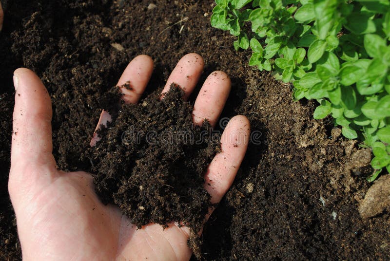 Man hand with soil