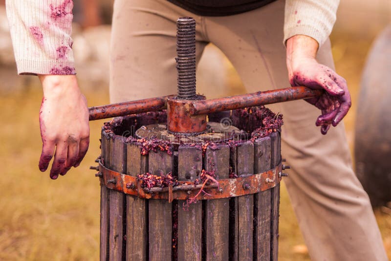 Man hands operating the press, Homemade wine production