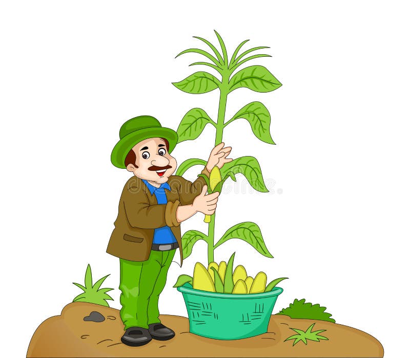 Corn Man Stock Illustrations 2,634 Corn Man Stock Illustrations