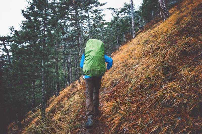 Man Hiker with Backpack Traveling in Forest Stock Photo - Image of ...