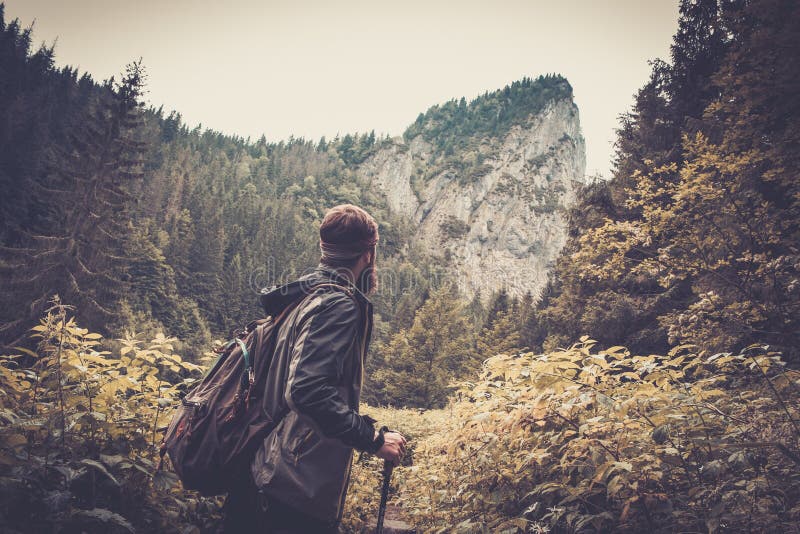 Man hiker in mountain forest