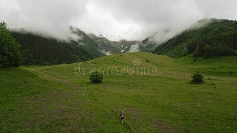 Man hikes on rich alpine meadow in Svaneti. Surrounded by green hills, dense forest, and misty mountain peaks under stock footage