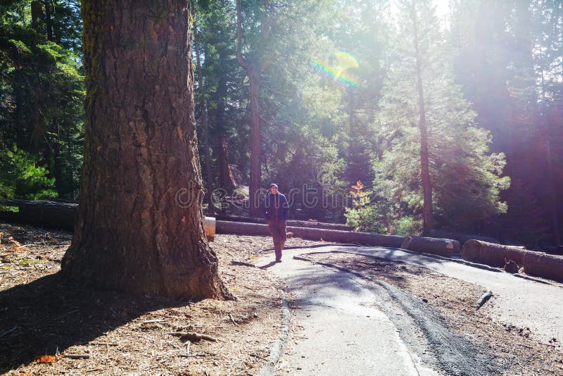 Hike in the forest