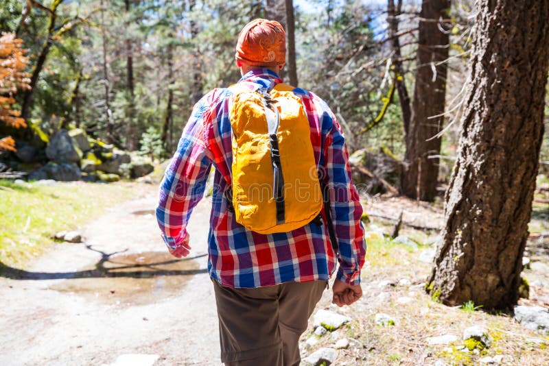 Hike in the forest