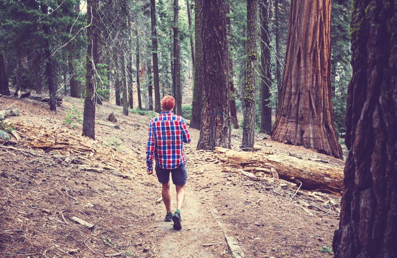 Hike in the forest