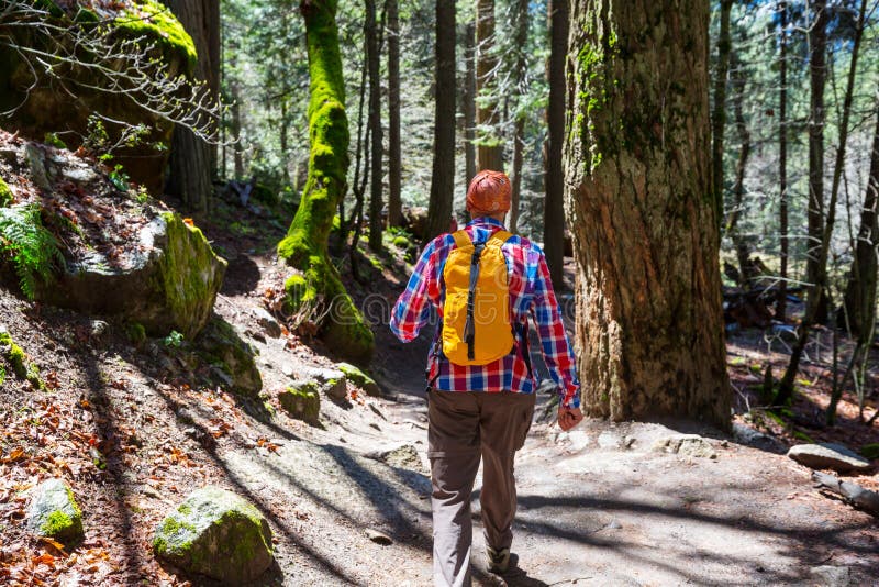 Hike in the forest