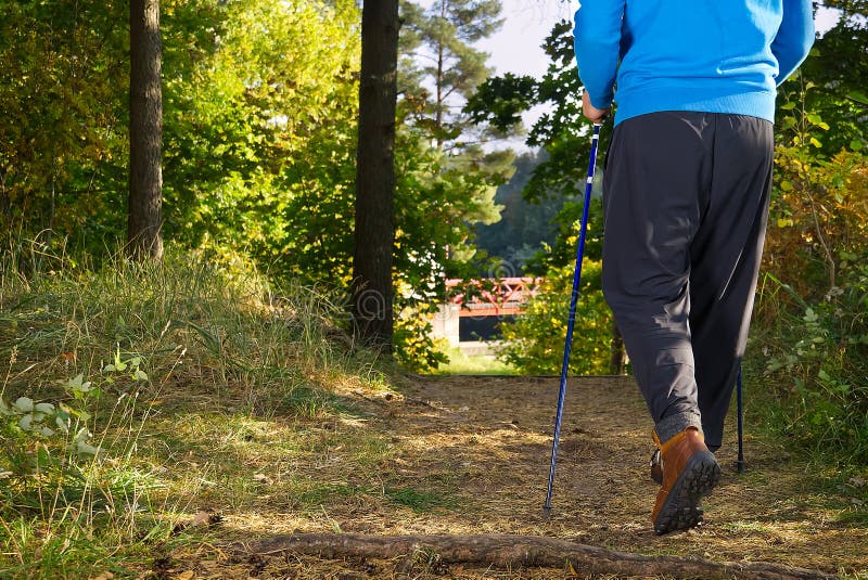 Man Hiking in the Woods in Autumn Pine Forest. Men Boots Walking in the ...