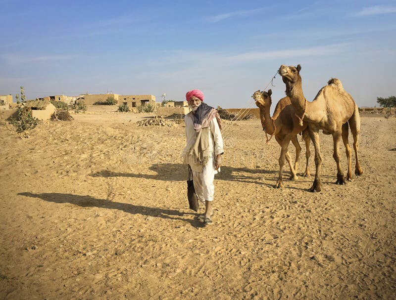 Man With His Camels in Thar Desert