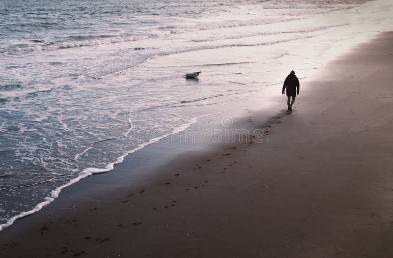 A man and his dog walk along a wet sandy beach leaving foot prints. The dog is in the sea retrieving a stone.