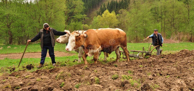 Man with his wife working the land