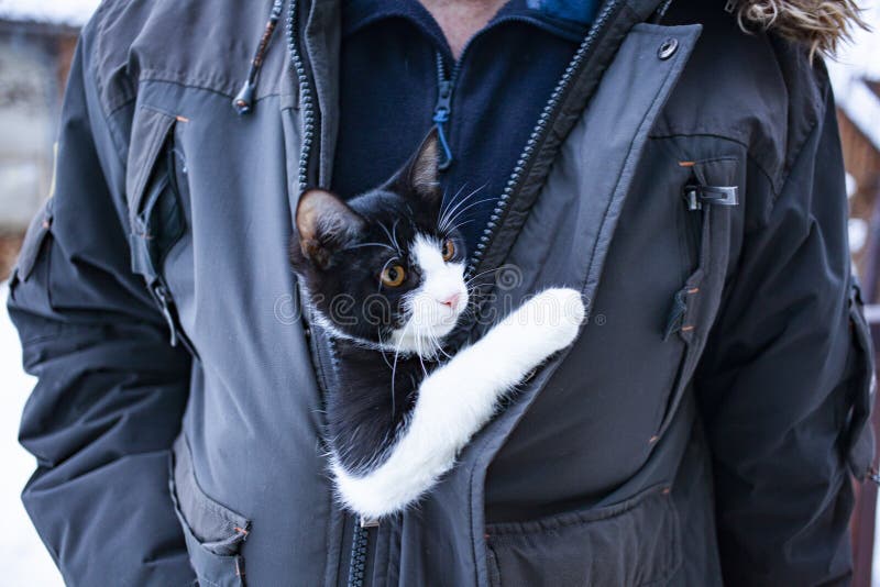 man holding cute little cat under winter coat