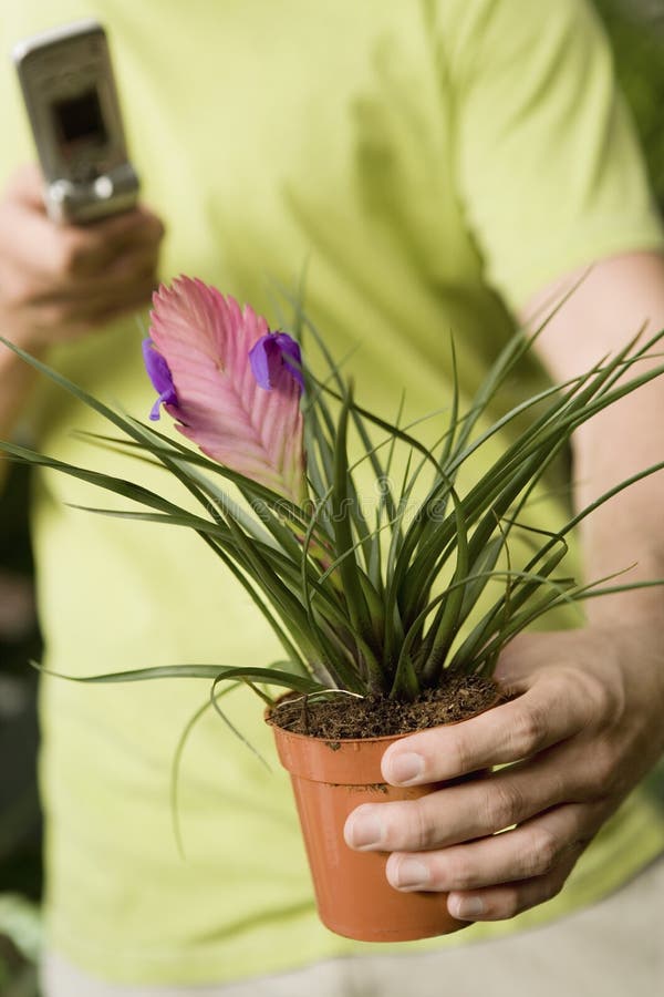 Man holding exotic potted plant and phone