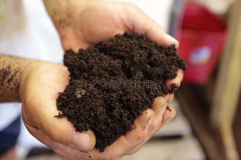Man Holding Nutrient Rich Potting Soil. A man holds moist potting soil in his hands royalty free stock photography