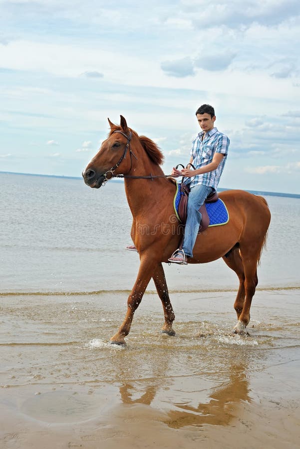 Man on horse stock photo. Image of horseback, outdoor 20682482