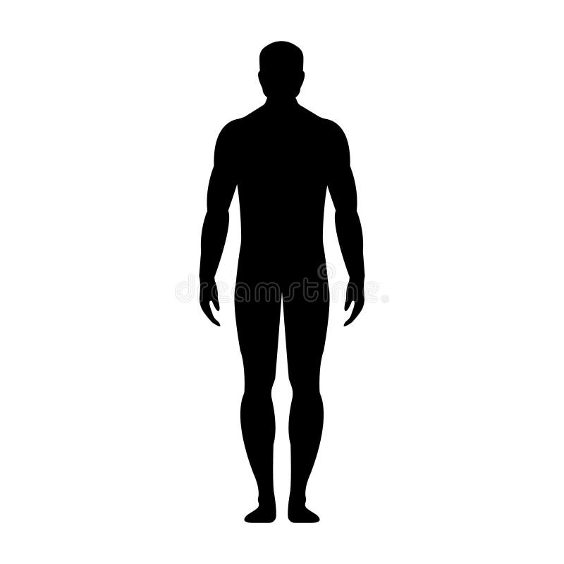 Man. Human front side Silhouette. Isolated on White Background.