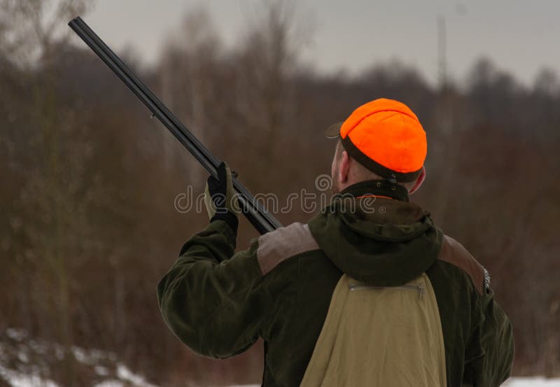 Hunter aiming at the prey. General winter pheasant open season hunting scene. Hunter aiming at the prey. General winter pheasant open season hunting scene