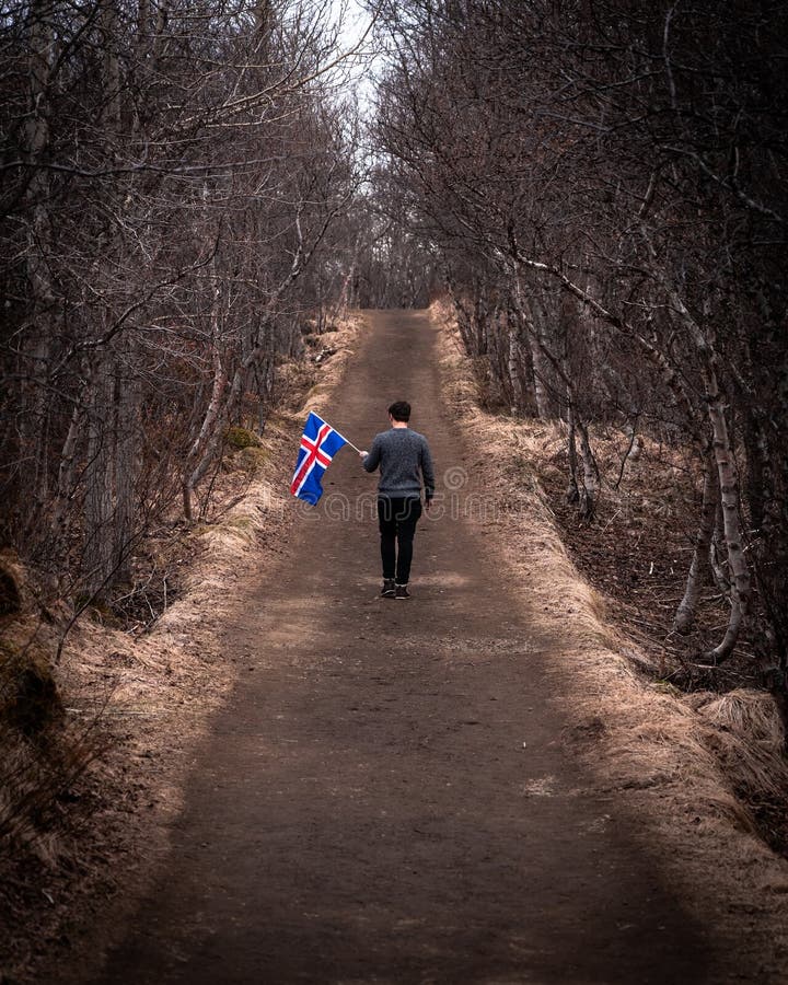 Icelandic Flag stock image. Image of nationalism, iceland - 16085785