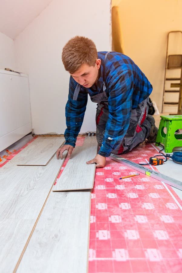 Man Installing Laminate Floor Panels Stock Image Image of renovation