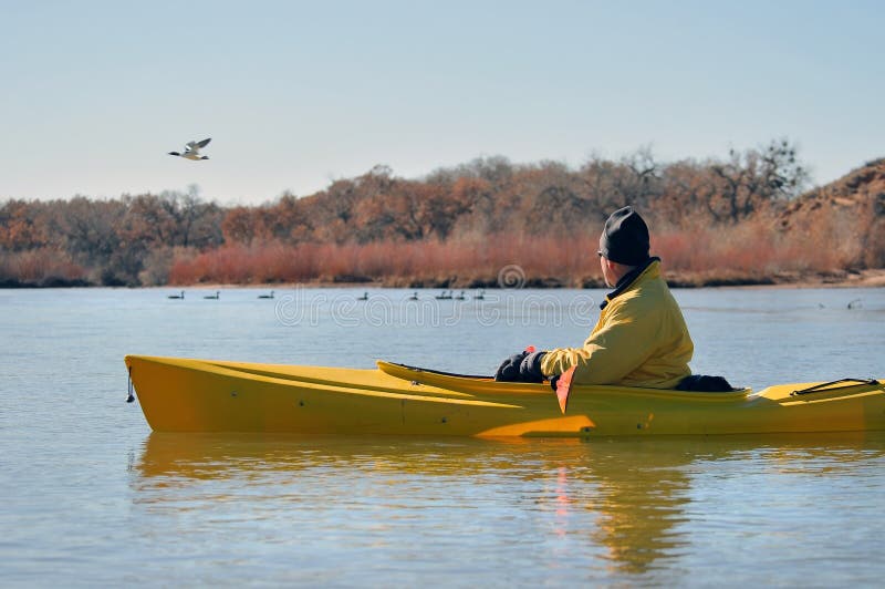 Man in Kayak Watching Birds Stock Image Image of sport, birds 7846105