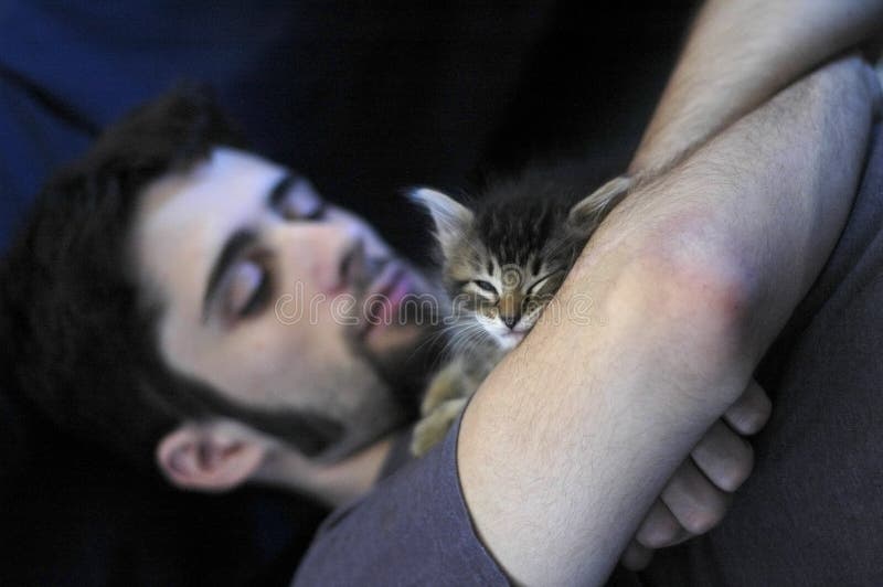 Man and Kitten. A young man and a small blue eyed kitten taking a nap Man and Kitten. A young man and a small blue eyed kitten taking a nap