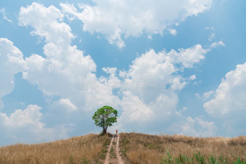 Man and lonely tree