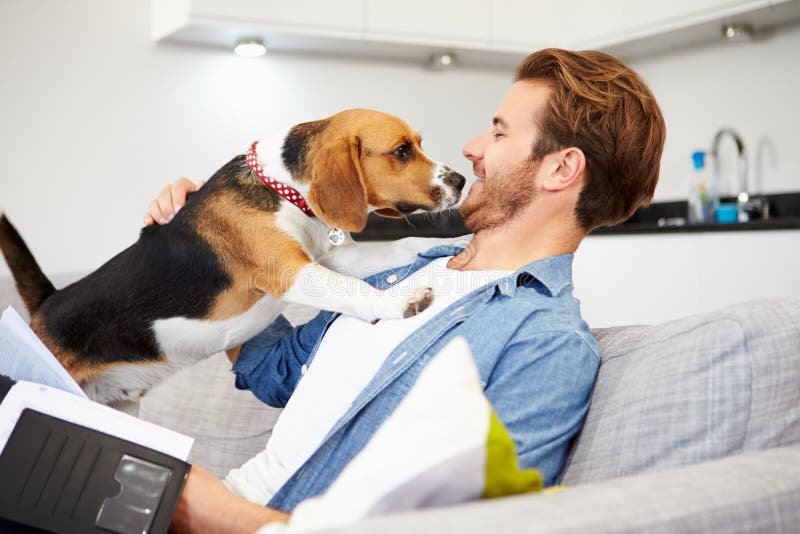 Man Looking At Paperwork And Playing With Pet Dog At Home