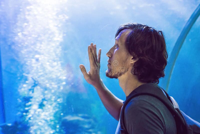 233 Man Aquarium Head Stock Photos Free & RoyaltyFree Stock Photos