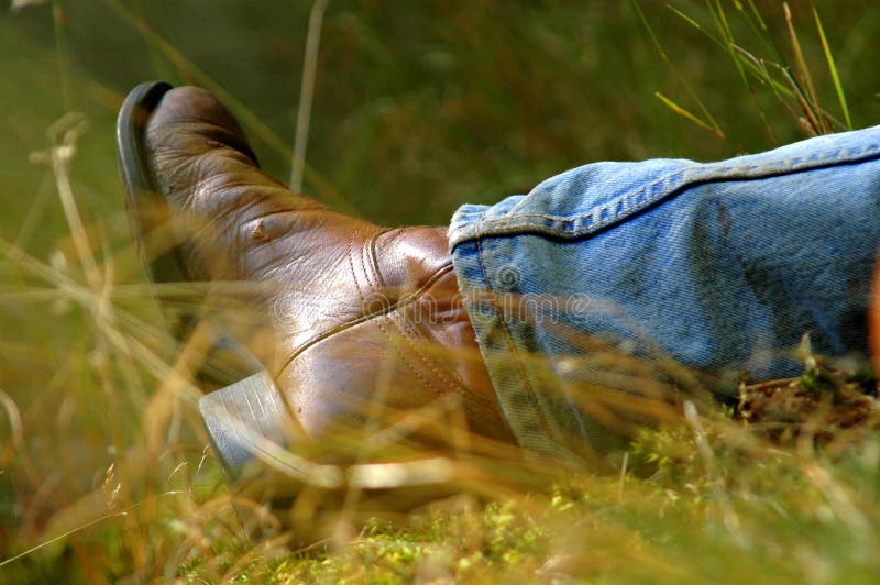 Man in Meadow Relaxing stock image. Image of dreaming - 32525129