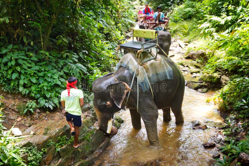 Man med hans elefant på trekkingen i Thailand arkivfoton Man med hans elefant på trekkingen i Thailand arkivfoton