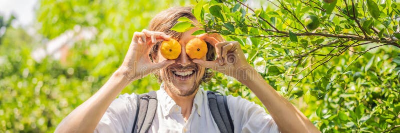 Man med manlarinas på ett tangerinkoloniBANER, LÅNGT FORMAT royaltyfri bild Man med manlarinas på ett tangerinkoloniBANER, LÅNGT FORMAT royaltyfri bild