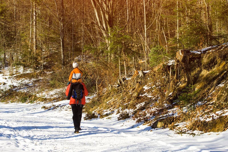 Man med sonen på skuldror som promenerar vägen i en snöig skogvinter dag fotografering för bildbyråer Man med sonen på skuldror som promenerar vägen i en snöig skogvinter dag fotografering för bildbyråer