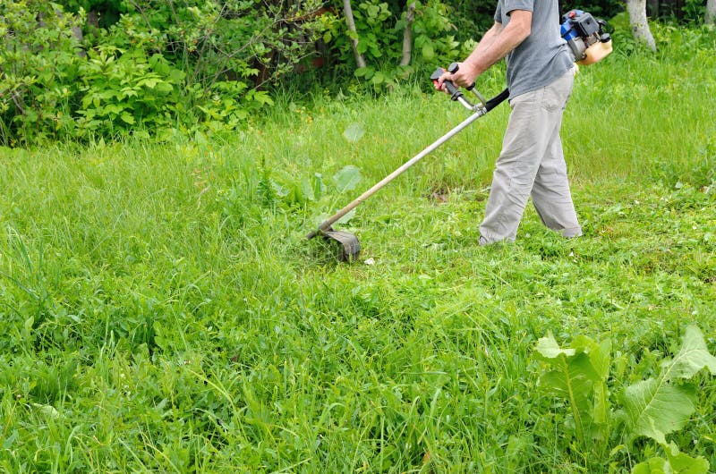Man mowing lawn mower green, young grass. Gardener doing seasonal work. Clearing the garden of weeds