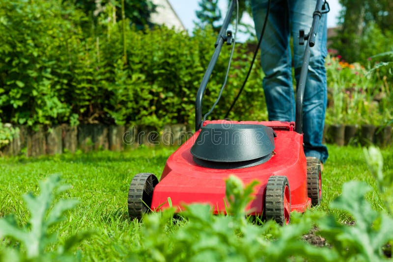 Man is mowing the lawn in summer stock photography