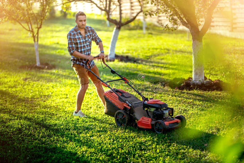 Lawncare and Landscaping Garden Maintenance with Gardener Working