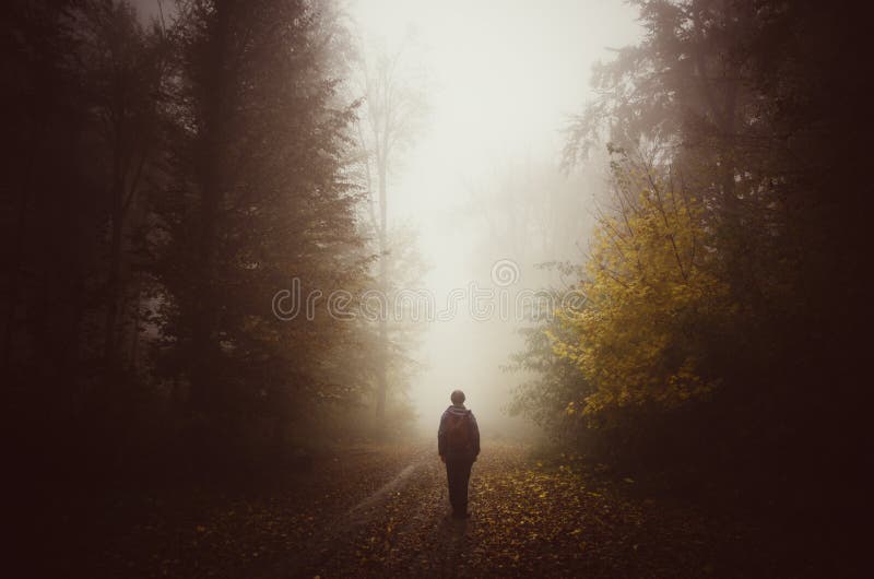 Man in mysterious autumn forest with mist