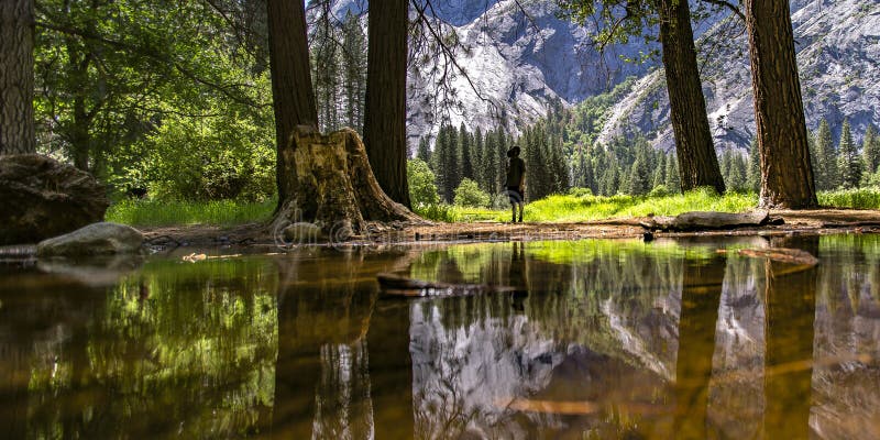 Man near a creek in Yosemite CA on a sunny day royalty free stock image Man near a creek in Yosemite CA on a sunny day royalty free stock image