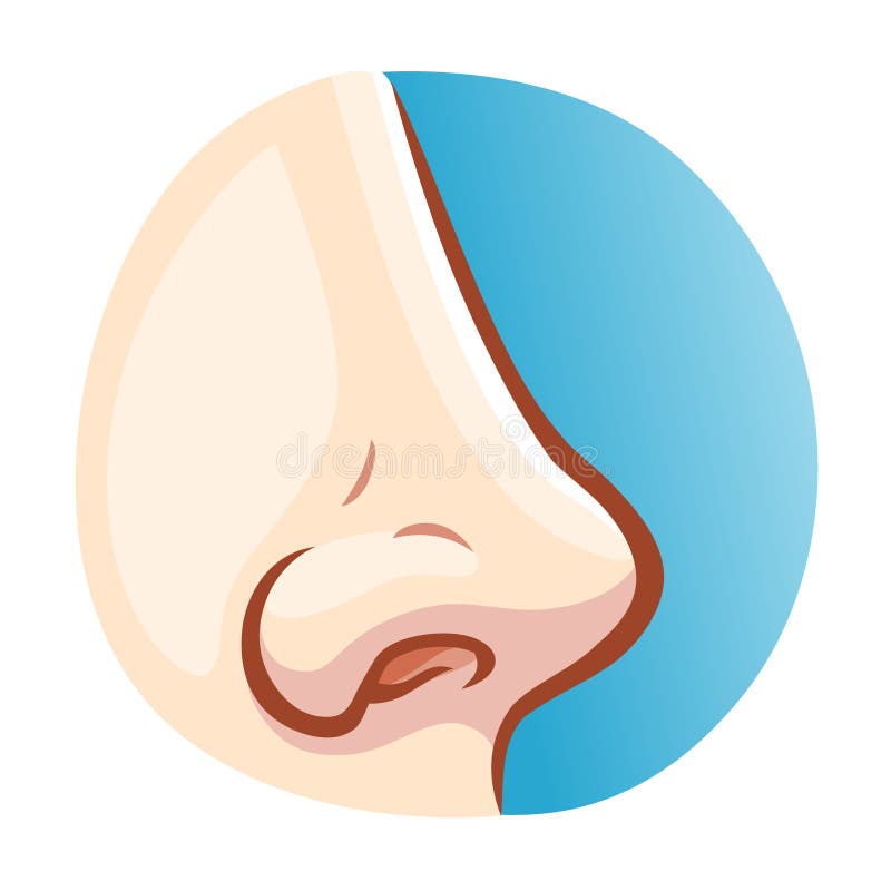 Man nose stock vector. Illustration of healthy, cure ...