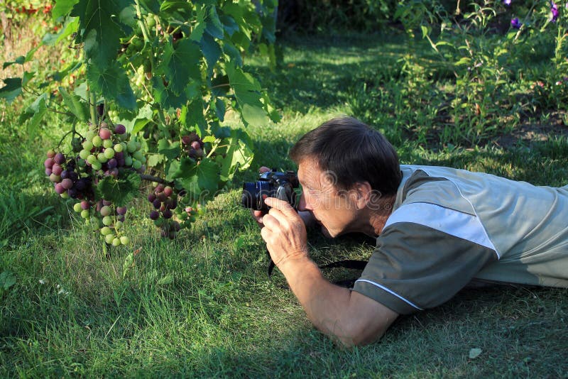 Man Photographing Bunch Of Grapes In Garden Stock Photo Image Of