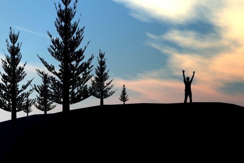 Man on pine tree forrest