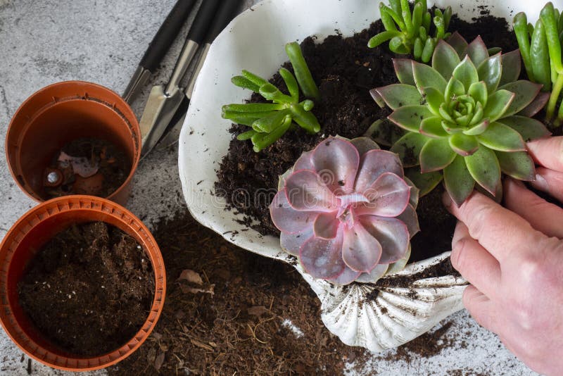 99 Gallon Waterproof Large Resin Deck Box Indoor Outdoor, Lockable ...