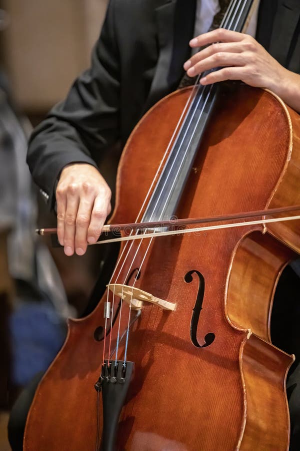 Viola Being Played By A Musician Stock Photo Image of perform, music