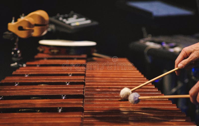 A man playing a marimba on a concert stage in the netherlands