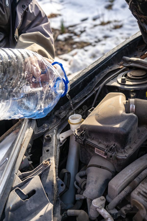 Man Pouring Antifreeze into Special Fluid Tank Stock Photo Image of fluid, checking 208606300