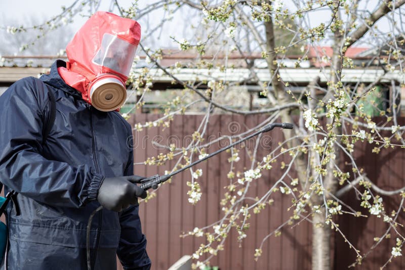 Man in protective clothing in the backyard using hand sprayer with pesticides. royalty free stock photography