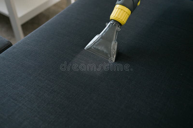 Man in Protective Rubber Glove Cleaning Sofa with Professionally